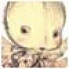 WilbertExcak's picture