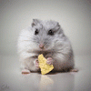 Deerjunlom's picture